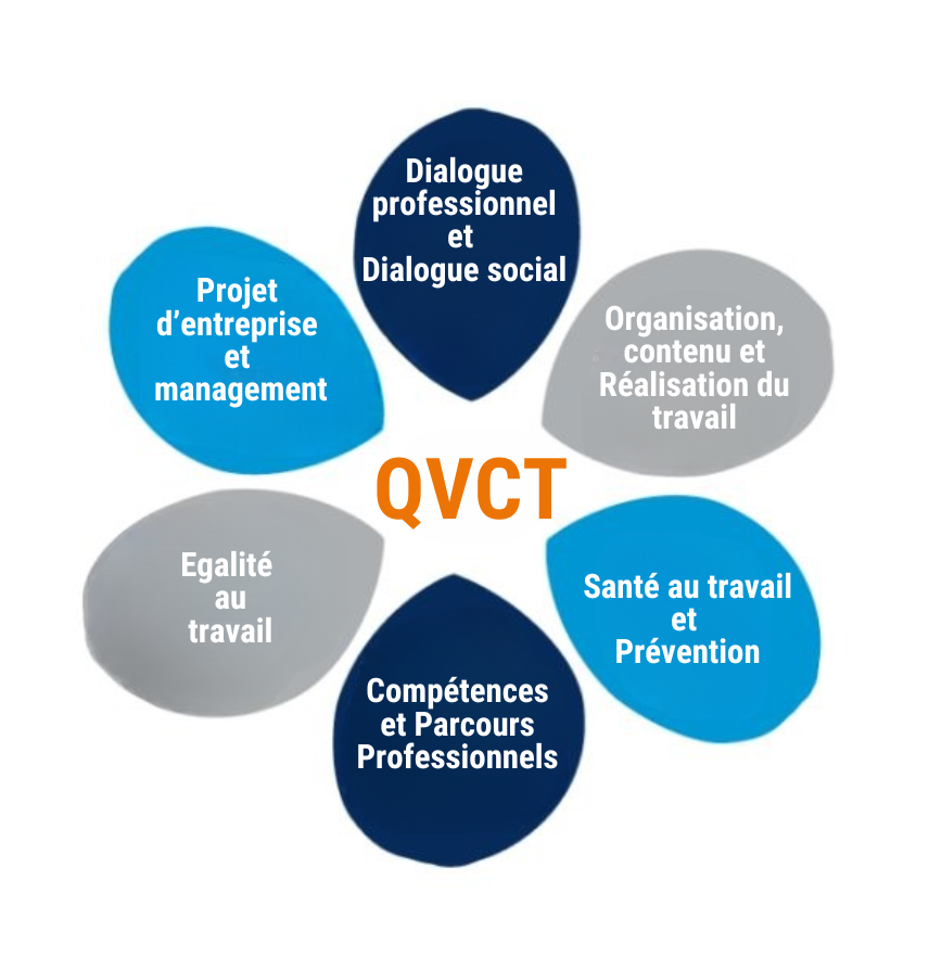 Marguerite FSJD Marguerite QVCT